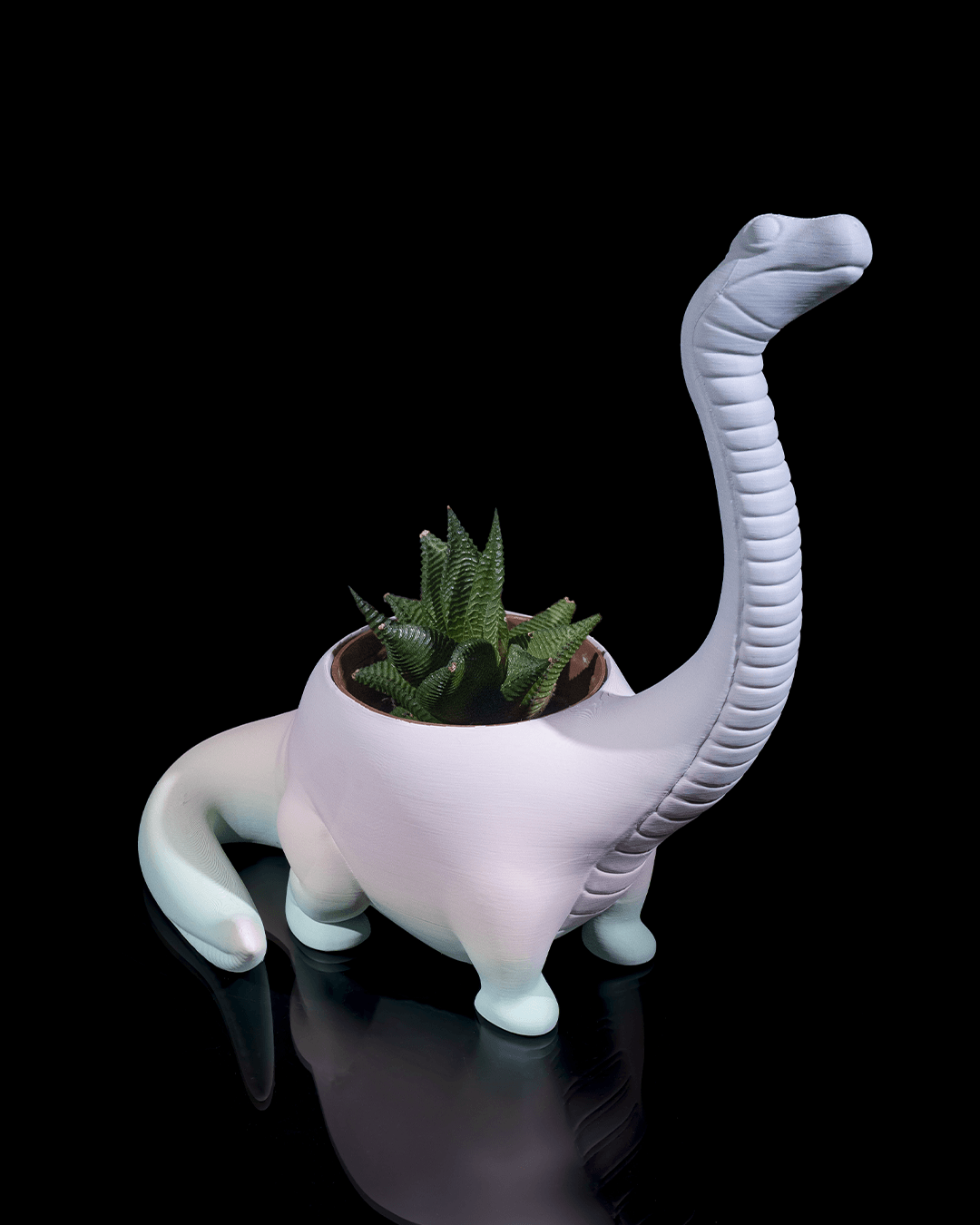 Dinosaur Flower pot