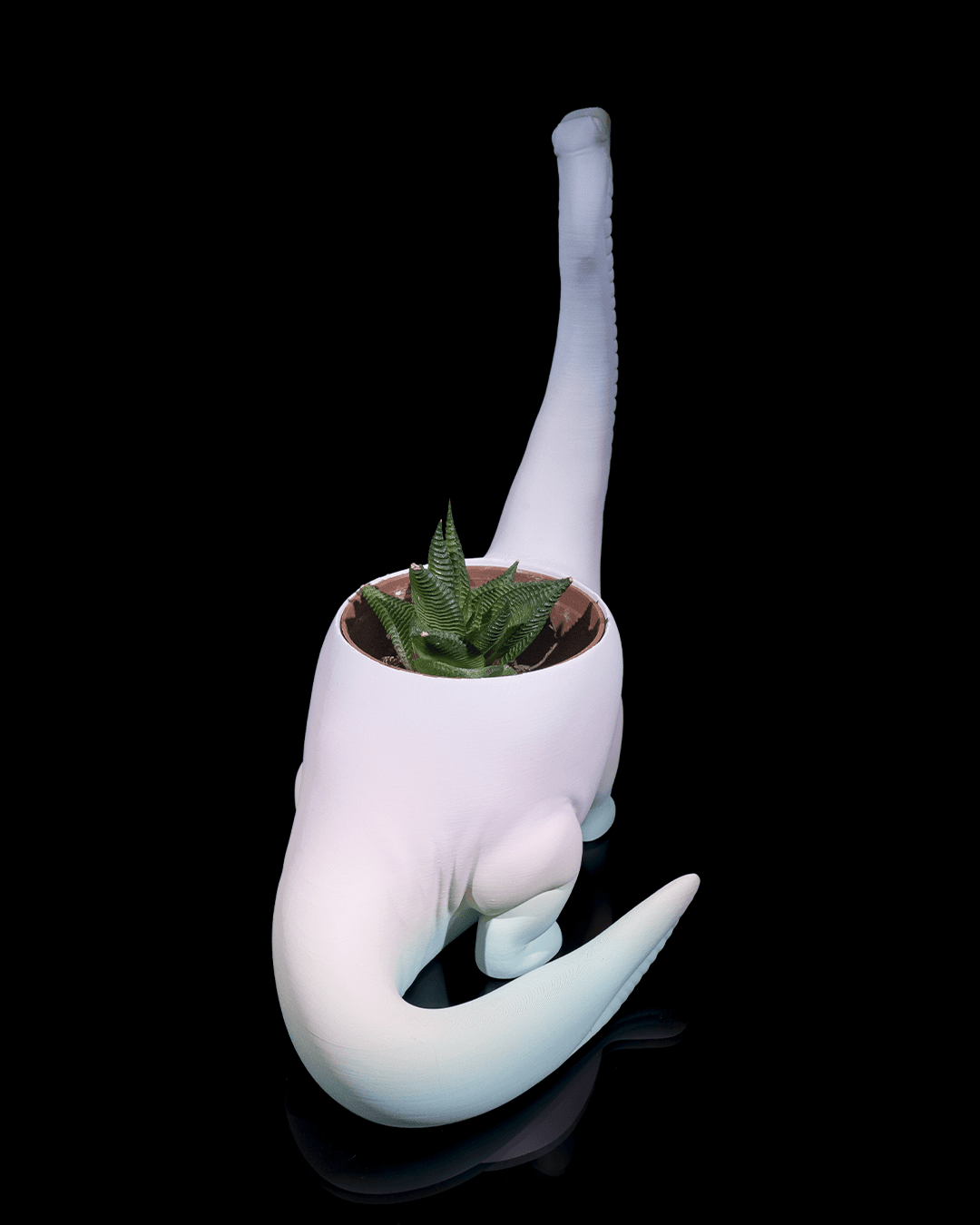 Dinosaur Flower pot