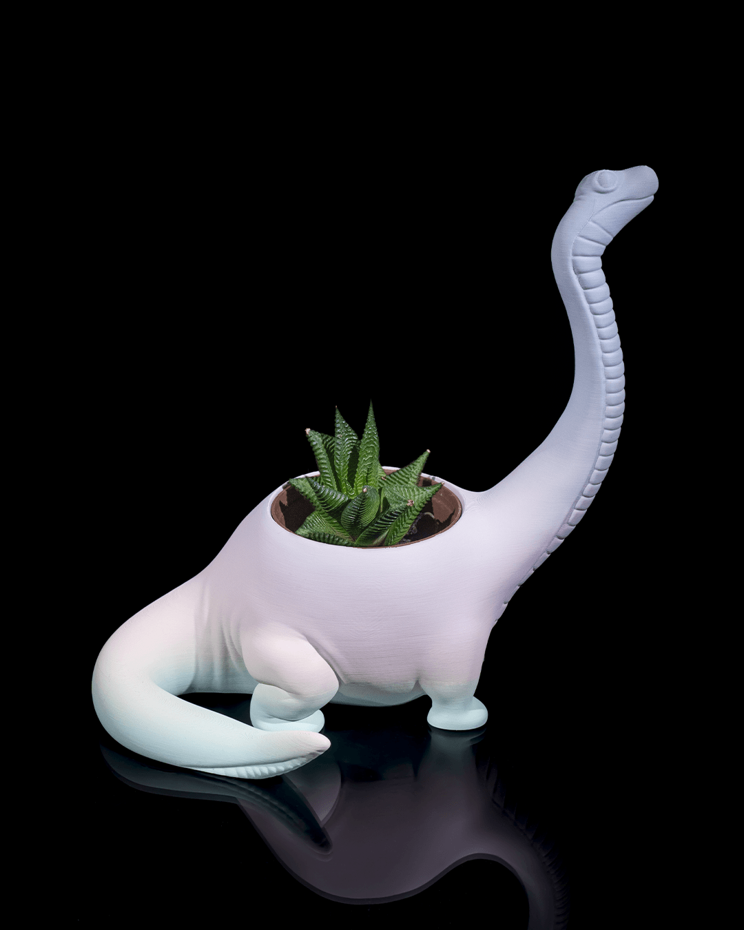 Dinosaur Flower pot