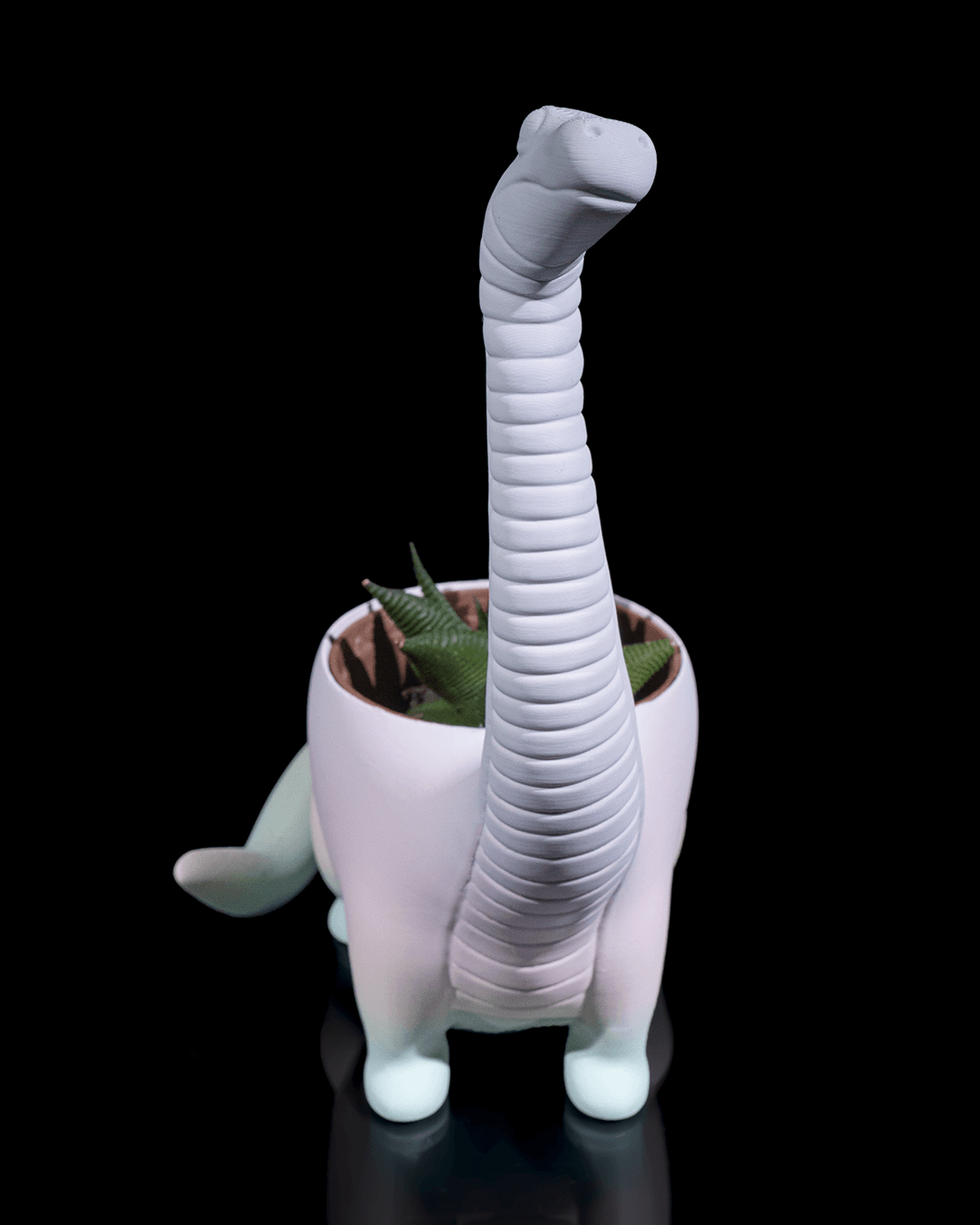 Dinosaur Flower pot