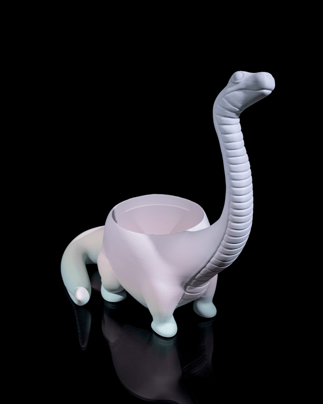 Dinosaur Flower pot
